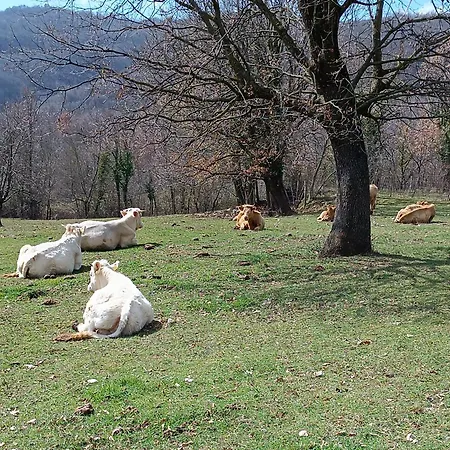 Alloggio per agriturismo L'arco